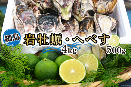 【期間限定発送】岩牡蠣 殻付き 細島 岩ガキ 約4kg 日向特産 へべす 500g セット [道の駅日向 宮崎県 日向市 452061391]