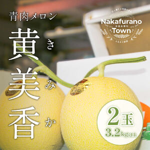【2026年発送】中富良野産　黄美香（青肉）メロン2玉3.2kg以上【BQ-001】