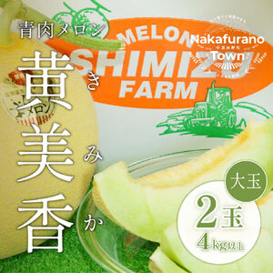 【2026年発送】中富良野産　黄美香（青肉）メロン　大玉2玉4kg以上【BQ-002】