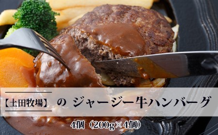 ジャージー牛を使用した ハンバーグ 4個（200g×4個） お肉 加工食品 惣菜 レトルト 