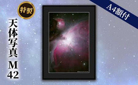 特製 天体写真(A4額付)M42 大散光星雲 