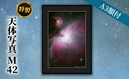 特製 天体写真(A3額付)M42 インテリア 雑貨 日用品 