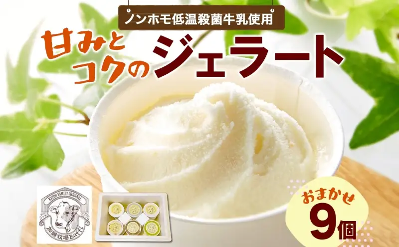 【加藤牧場】ノンホモ低温殺菌牛乳使用 ジェラート 9個入り アイス 氷 夏 暑い 猛暑 フレーバー 濃厚 さっぱり 人気 ご当地 スイーツ お菓子 食後 デザート 氷菓 牛乳 さっぱり コク お取り寄せ 加藤牧場 埼玉県 日高市
