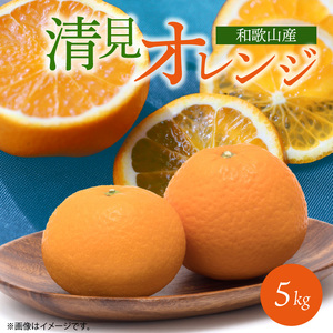 G7066_【2027年先行予約】とにかくジューシー 清見 オレンジ 5kg