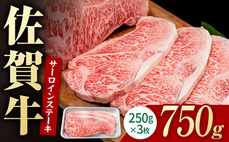 佐賀牛 サーロインステーキ 750g / サーロインステーキ [IAG052]