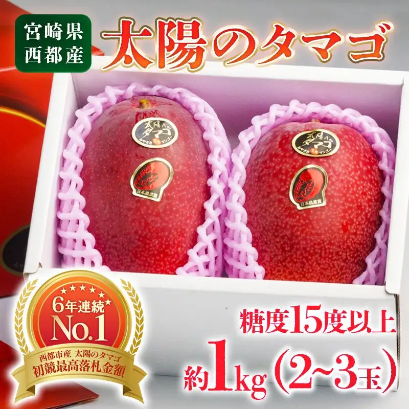 【先行予約】糖度15度以上 最高級ブランド『太陽のタマゴ』1㎏程度　宮崎県西都市産完熟マンゴー ＪＡ西都 2026年発送＜2-2a＞