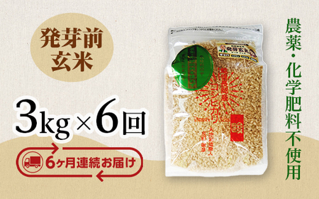 E1-H036B【6ヶ月連続お届け】新潟県長岡産コシヒカリ 発芽前玄米 3kg