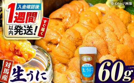 【1週間以内発送】対馬産 生うに 60g 海鮮 魚介 うに ウニ  [WAA012] スピード発送 最速発送 最短発送