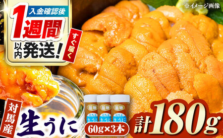 【1週間以内発送】対馬産 生うに 60g×3本 うに うに うに うに ウニ [WAA009] スピード発送 最速発送 最短発送
