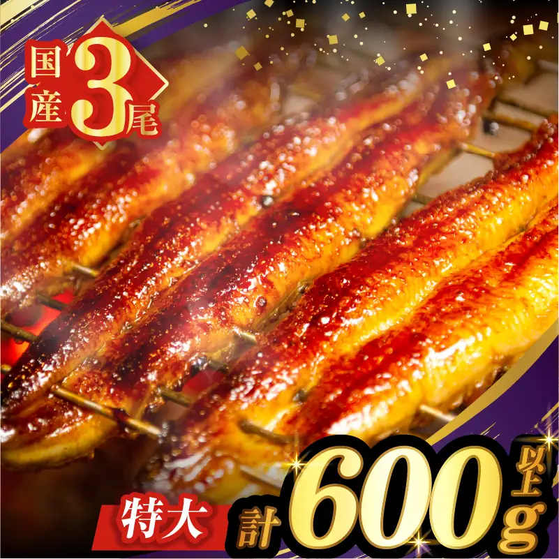 うなぎ蒲焼3尾(さんしょう・たれ付き)計600g以上 鰻 魚 魚介 加工品 国産_T026-0146