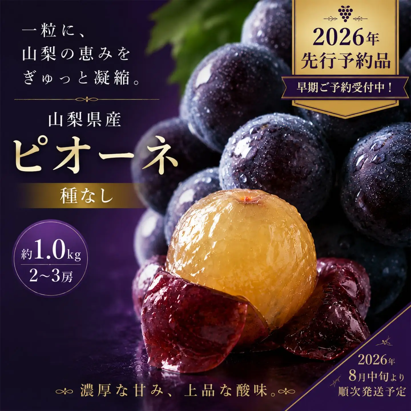 山梨県産　種なしピオーネ2～3房(約1.0Kg）　【2026年発送】ピオーネ