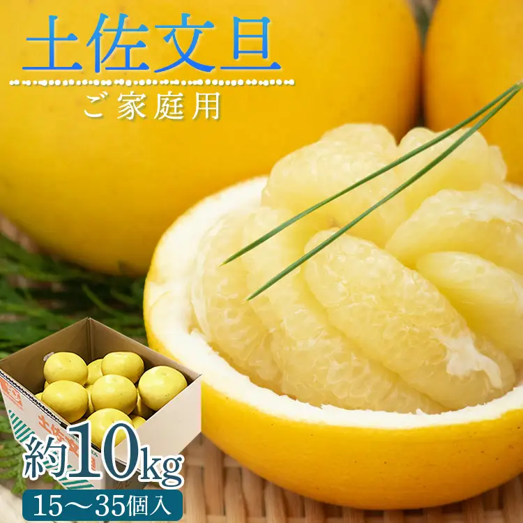 高知産　約１０ｋｇ　温室土佐文旦　１３～１７前後　北海道沖縄発送不可 令和9年1月下旬発送開始】土佐文旦 約10kg 家庭用 文旦 ku-0058 | 高知