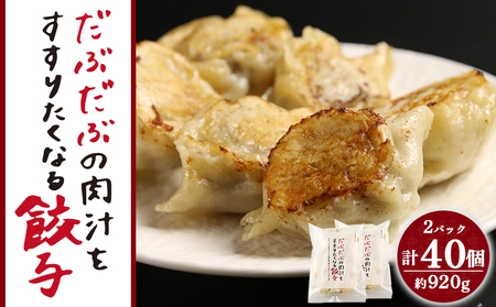 だぶだぶの肉汁をすすりたくなる餃子 40個（20個入×2パック）