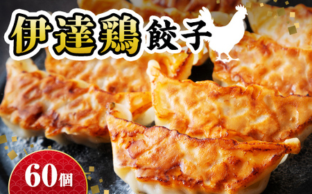 旨味たっぷり 伊達鶏 餃子 60個入り（12個×5パック）福島県 伊達市 東北 冷凍 銘柄鶏 ぎょうざ ギョーザ お手軽餃子 薄皮 特製あん 人気 焼くだけ 鍋 もっちり ビールのお供 夕食のおかず F21C-526