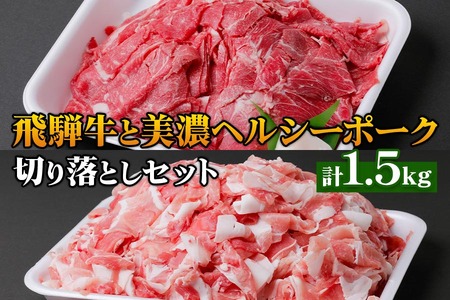 飛騨牛 と 美濃ヘルシーポーク 切り落としセット(計1.5kg) 飛騨牛 [1176]