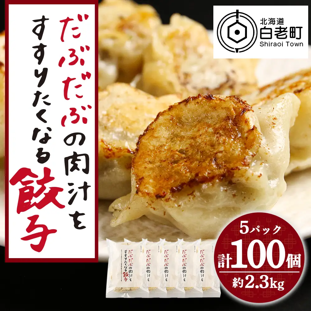 だぶだぶの肉汁をすすりたくなる餃子 100個（20個入×5パック）