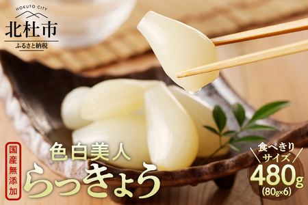 食べきりサイズ 色白美人らっきょう 国産無添加 80g×6袋　ラッキョウ 食べきりサイズ 480g おつまみ ご飯のおとも お酒のお供 野菜 旬 漬物 つけもの お漬物 常温保存 山梨県 北杜市 [h138]