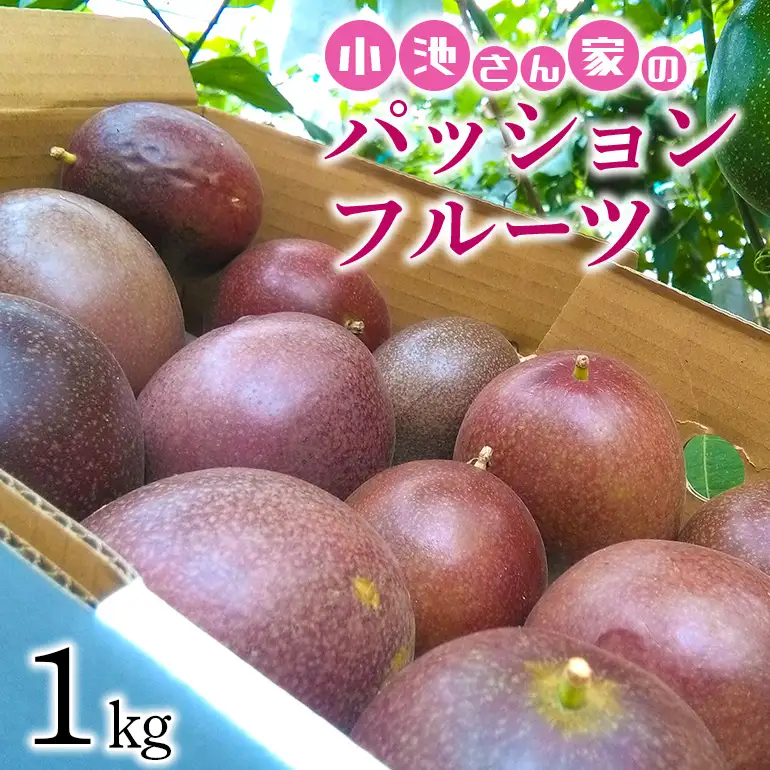 【先行予約 2026年発送】小池さん家の パッションフルーツ 約 1kg ( 10玉 以上 ） 果物 フルーツ くだもの 1キロ 沖縄 果実 南国フルーツ 沖縄県産 美味しい 甘い あまい 甘み 酸味 爽やか 産地直送 農家直送 産直 家庭用 沖縄県 糸満市 126-8