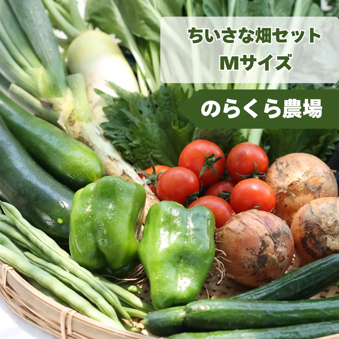 【先行受付】有機野菜ちいさな畑セット（Mサイズ　２～３人前）［NK-101］