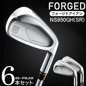 PREMIUM-216 CAVITY #6～Pw,Aw(NS950 SR) 　680BE06N.／ゴルフ ゴルフクラブ アイアン キャビティアイアン
