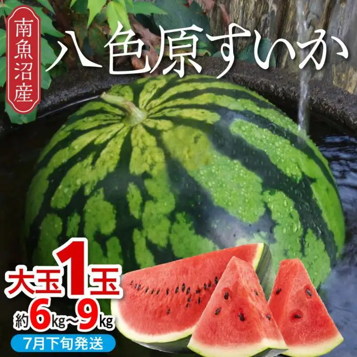 【先行予約】【新潟県 南魚沼産】八色原すいか大玉１玉【2026年7月下旬発送】【お届け日時指定不可】