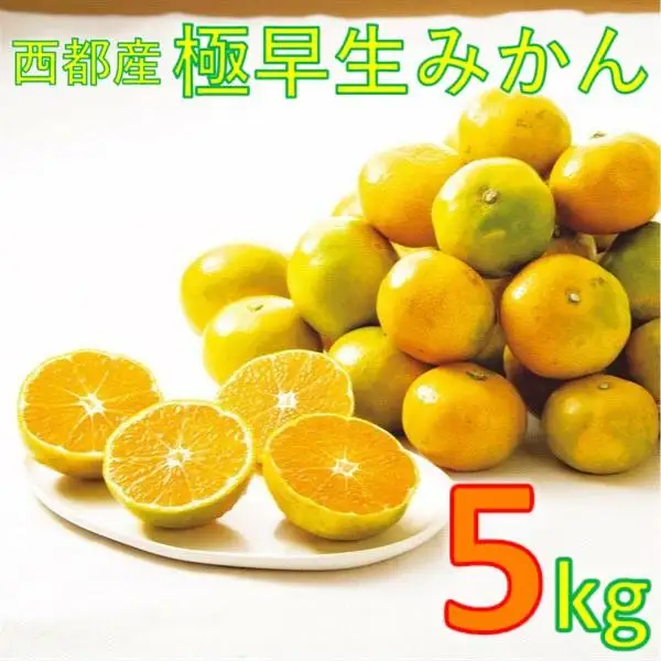 西都市産 極早生～早生みかん 5kg 【先行予約】＜26-1a＞