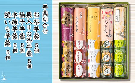 羊羹5個袋入り×5種　箱入り 和菓子 スイーツ ようかん 