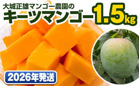 【2026年発送】大城正雄マンゴー農園のキーツマンゴー1.5kg