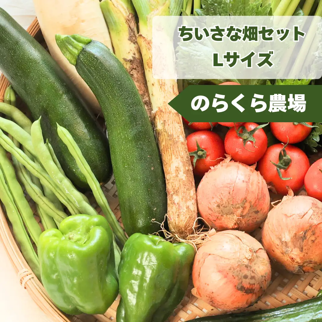 【先行受付】有機野菜ちいさな畑セット（Lサイズ　３～４人前）有機野菜［NK-102］
