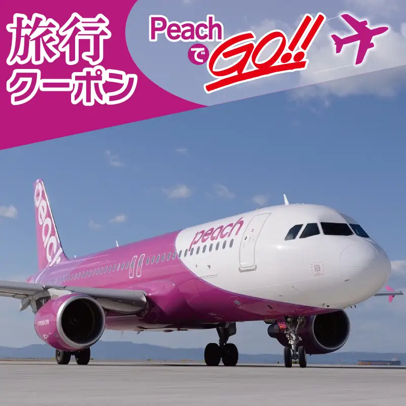 PeachでGo！！泉佐野市宿泊 旅行クーポン（30,000円分）