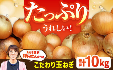 【先行予約】農家直送 玉ねぎ 約10kg / 玉ねぎ [IAO001]