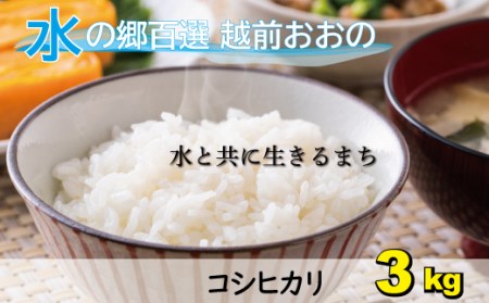 【令和7年産】こしひかり（福井県大野市産）エコファーマー（白米）米3kg [A-003004]