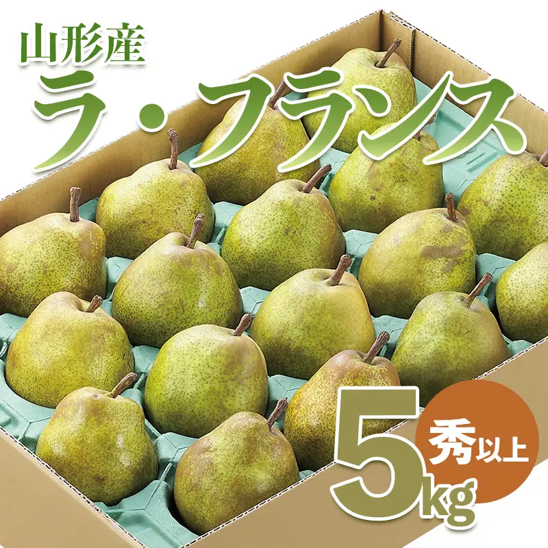 山形市産 ラ・フランス 秀以上 5kg(18～20玉） FZ21-931