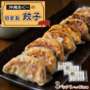 沖縄あぐーの自家製餃子