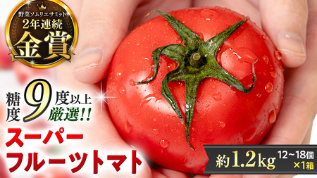 糖度9度以上 スーパーフルーツトマト 中箱 約1.2kg × 1箱 (12～18玉/1箱)  [BC002sa]