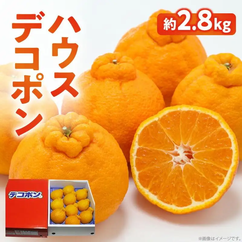 高松産季節の果物＜ハウスデコポン＞約2.8kg【2026年12月中旬～2027年3月中旬配送】