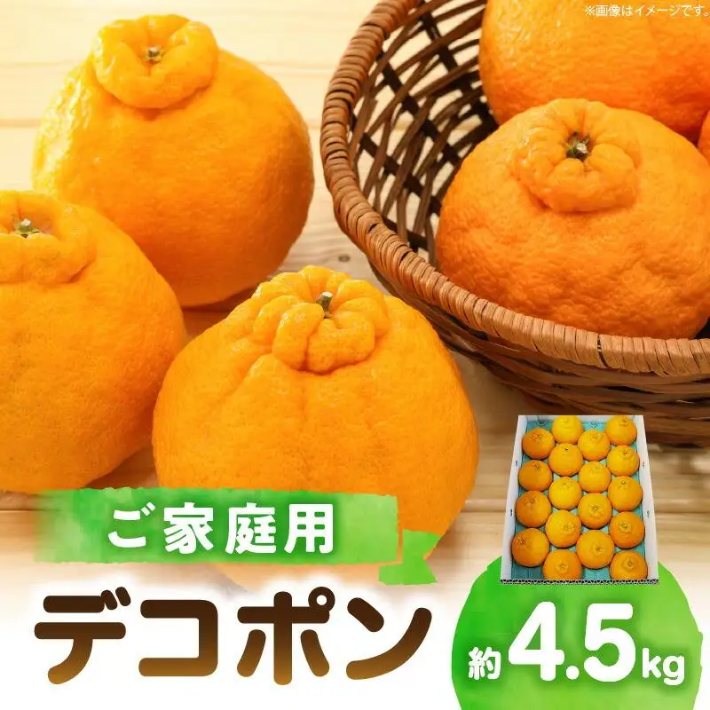 高松産季節の果物＜ご家庭用　デコポン＞約4.5kg【2027年2月下旬～2027年4月上旬配送】