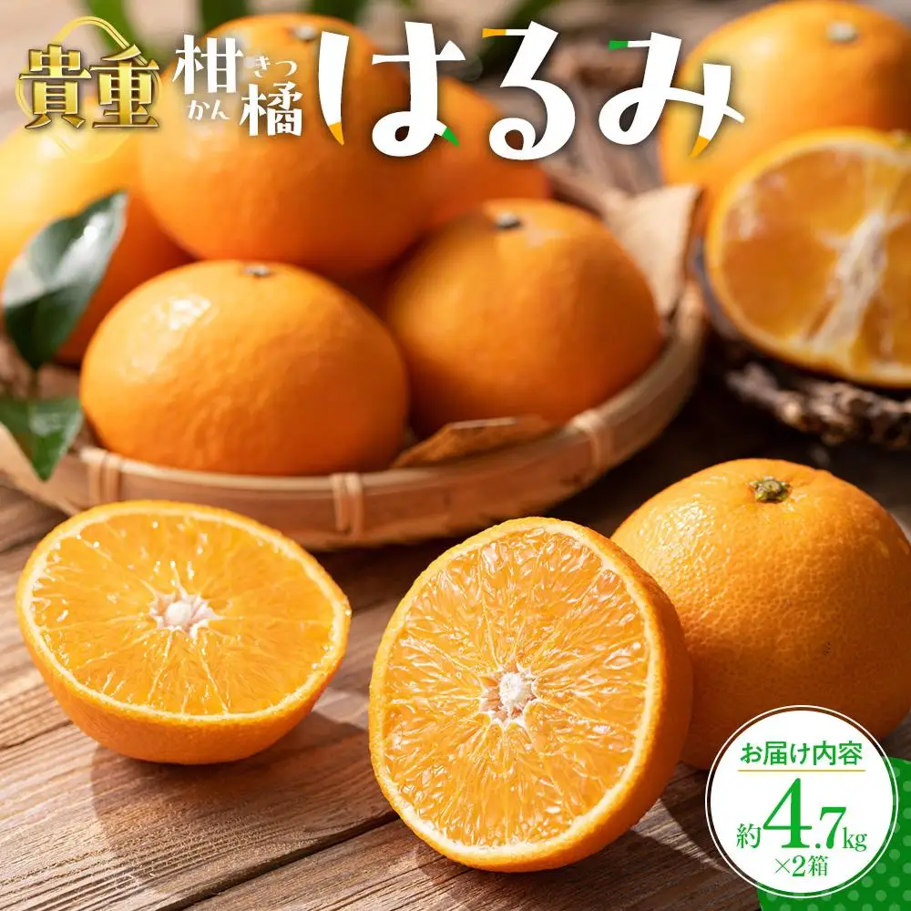 貴重柑橘　はるみ　約4.7kg×2箱【2027年2月上旬～2027年3月中旬配送】