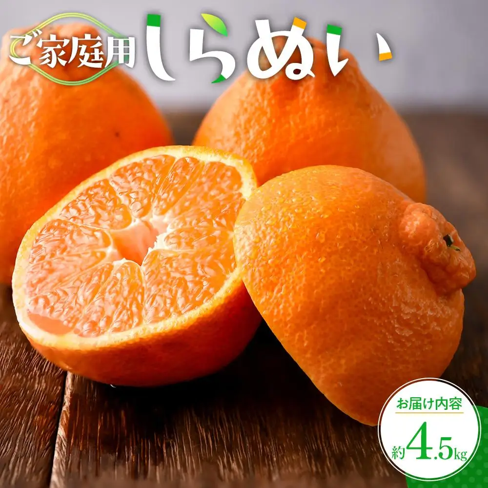 ご家庭用　しらぬい　約4.5kg【2027年2月下旬～2027年4月上旬配送】