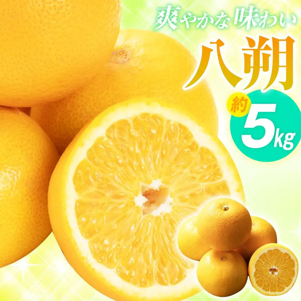 爽やかな味わい 八朔 約5kg【2027年2月中旬～2027年3月下旬配送】