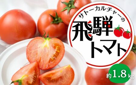 《先行予約》令和8年産 飛騨トマト 約1.8kg / トマト とまと 野菜
