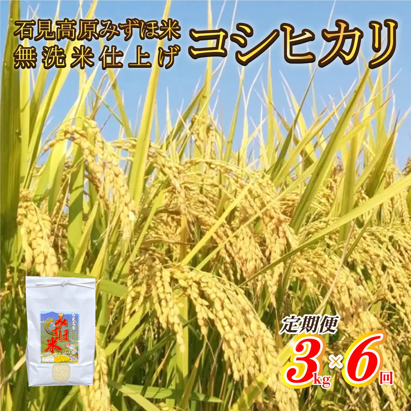 【定期便】令和7年産!　石見高原みずほ米コシヒカリ 無洗米仕上 3kgx6回