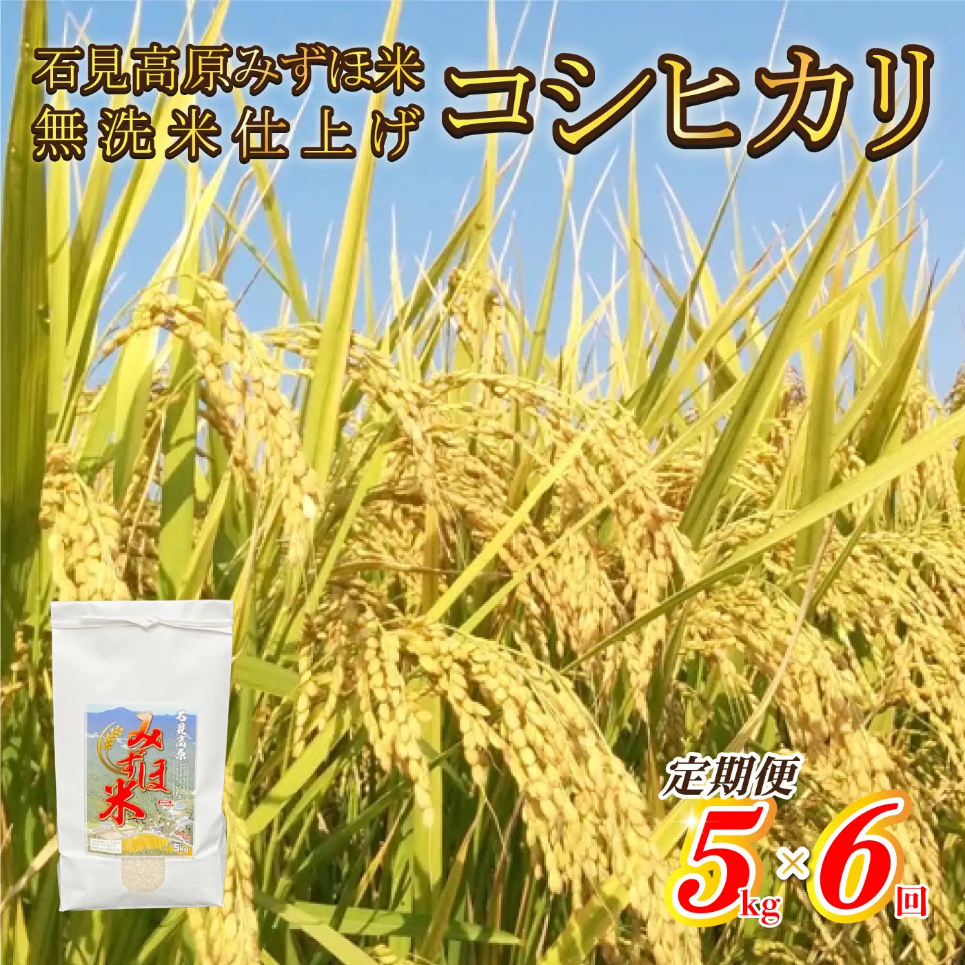 【定期便】令和7年産!　石見高原みずほ米コシヒカリ 無洗米仕上 5kgｘ6回 