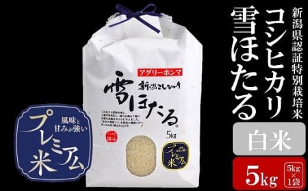 【令和7年産米】甘味の強いプレミアム米 新潟県認証特別栽培米 コシヒカリ 白米 5kg アグリーホンマ[ZB364]