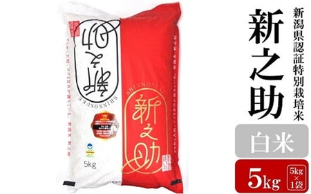【令和7年産米】新之助 白米 5kg 新潟県認証特別栽培米 お米 新潟県産 アグリーホンマ[Y0366]