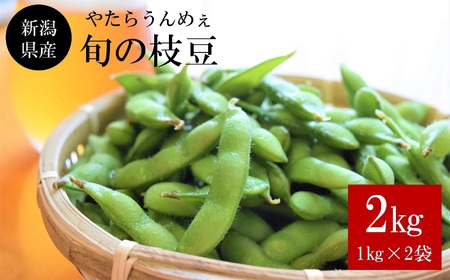 【先行予約・7月中旬～発送予定】やたらうんめぇ 枝豆 2kg（1kg×2袋）【数量・期間限定】水田環境鑑定士在籍[ZB255]