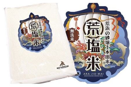 【令和7年産米】新潟県柏崎産 コシヒカリ 無洗米 5kg 荒塩米 [Y0074]