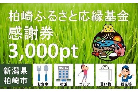 柏崎ふるさと応縁基金感謝券（3,000pt）[ZB302]
