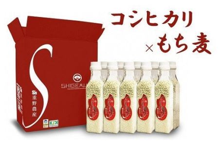 【令和7年産米】ブレンド米（無洗米コシヒカリ×もち麦）300gボトル×10本（計 3kg）しげ麦[Y0072]