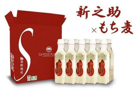 【令和7年産米】ブレンド米（無洗米新之助×もち麦）300gボトル×10本（計 3kg）しげ麦[Y0073]
